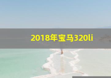 2018年宝马320li