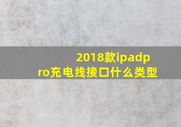 2018款ipadpro充电线接口什么类型