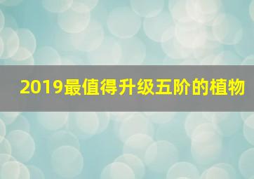 2019最值得升级五阶的植物