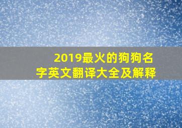 2019最火的狗狗名字英文翻译大全及解释