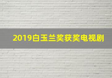 2019白玉兰奖获奖电视剧