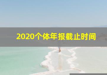 2020个体年报截止时间