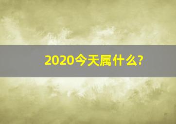 2020今天属什么?