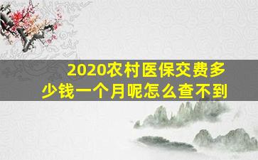 2020农村医保交费多少钱一个月呢怎么查不到