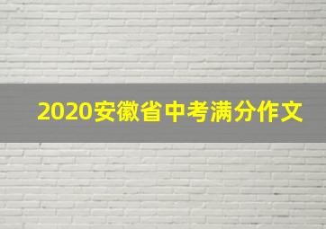 2020安徽省中考满分作文