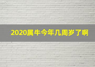 2020属牛今年几周岁了啊