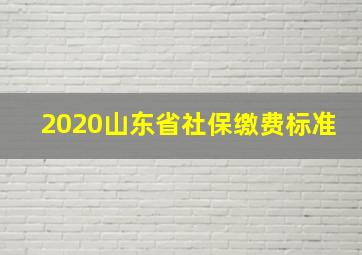 2020山东省社保缴费标准