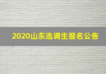 2020山东选调生报名公告