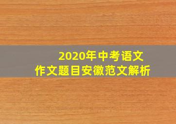 2020年中考语文作文题目安徽范文解析