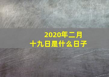 2020年二月十九日是什么日子