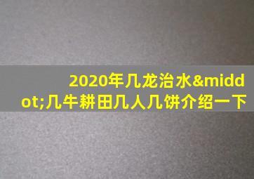 2020年几龙治水·几牛耕田几人几饼介绍一下