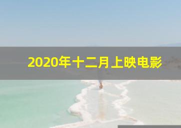 2020年十二月上映电影