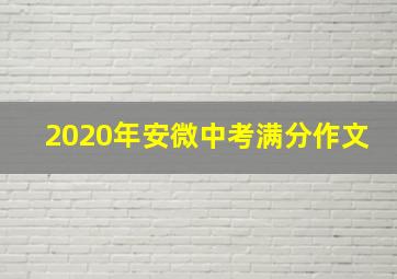 2020年安微中考满分作文