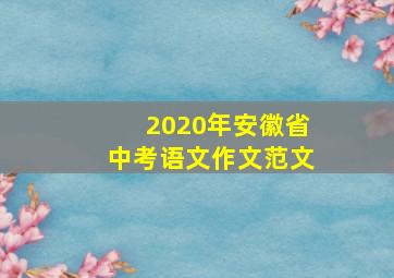 2020年安徽省中考语文作文范文