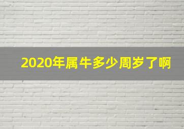 2020年属牛多少周岁了啊