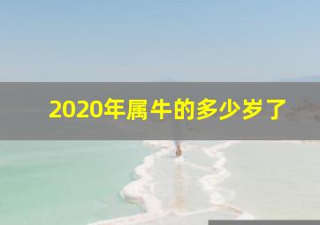 2020年属牛的多少岁了