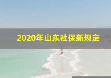 2020年山东社保新规定