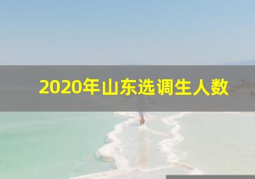 2020年山东选调生人数