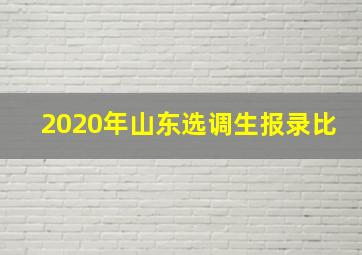 2020年山东选调生报录比