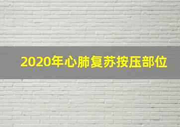 2020年心肺复苏按压部位