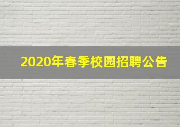 2020年春季校园招聘公告