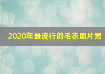 2020年最流行的毛衣图片男