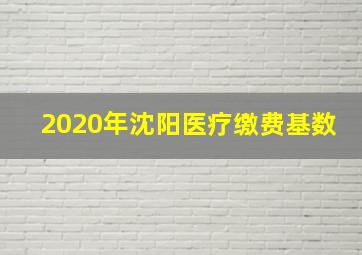 2020年沈阳医疗缴费基数