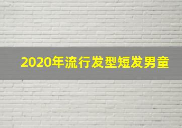 2020年流行发型短发男童