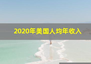 2020年美国人均年收入