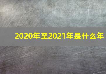 2020年至2021年是什么年