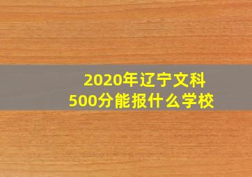 2020年辽宁文科500分能报什么学校