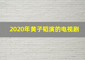 2020年黄子韬演的电视剧