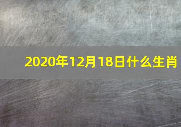 2020年12月18日什么生肖