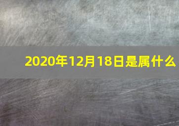 2020年12月18日是属什么