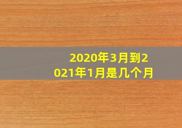 2020年3月到2021年1月是几个月