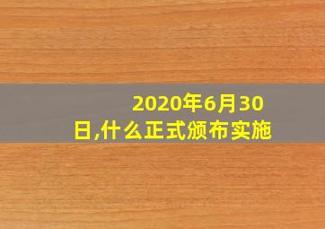 2020年6月30日,什么正式颁布实施