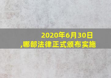 2020年6月30日,哪部法律正式颁布实施