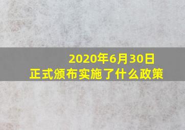 2020年6月30日正式颁布实施了什么政策