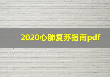 2020心肺复苏指南pdf