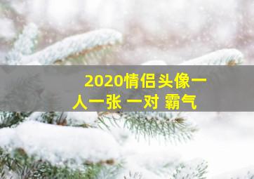 2020情侣头像一人一张 一对 霸气