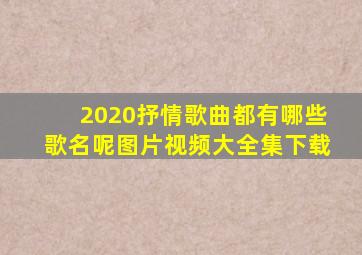 2020抒情歌曲都有哪些歌名呢图片视频大全集下载