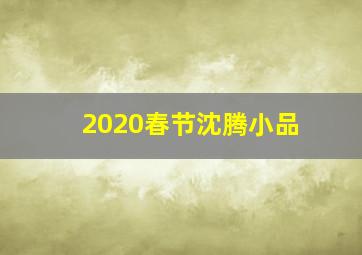 2020春节沈腾小品