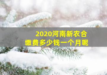 2020河南新农合缴费多少钱一个月呢