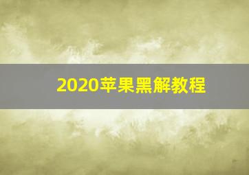 2020苹果黑解教程