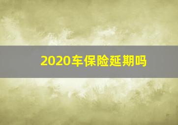 2020车保险延期吗