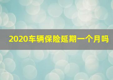 2020车辆保险延期一个月吗