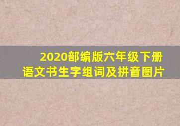 2020部编版六年级下册语文书生字组词及拼音图片