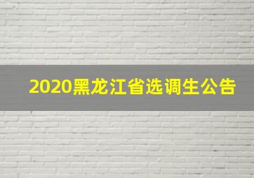 2020黑龙江省选调生公告