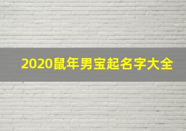 2020鼠年男宝起名字大全