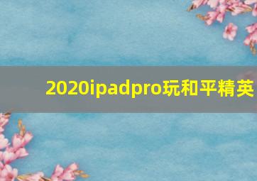 2020ipadpro玩和平精英